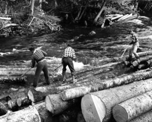 Logging in Lanark County - William Ashby